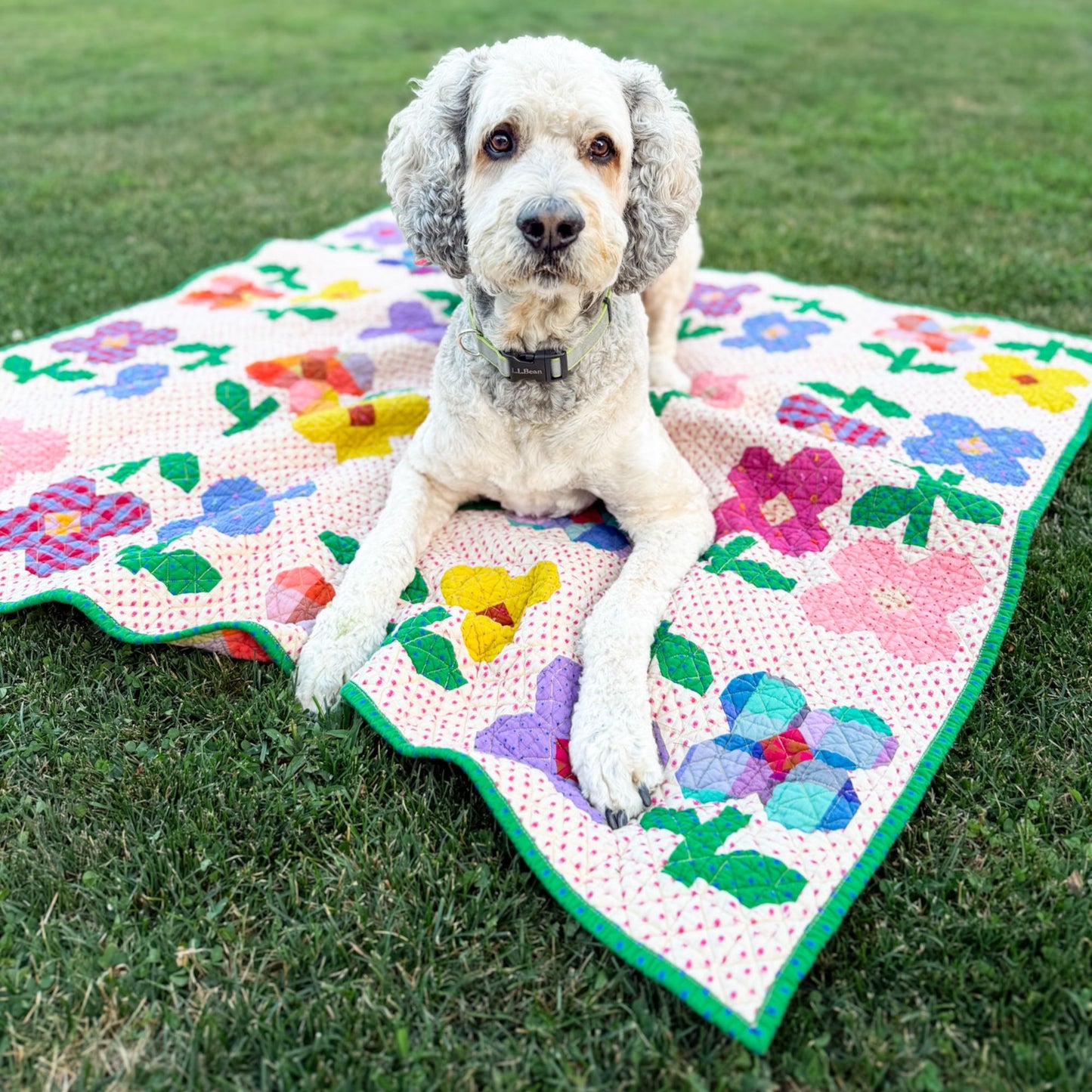 A large blonde dog sits on a colorful floral quilt laid out on green grass outdoors.