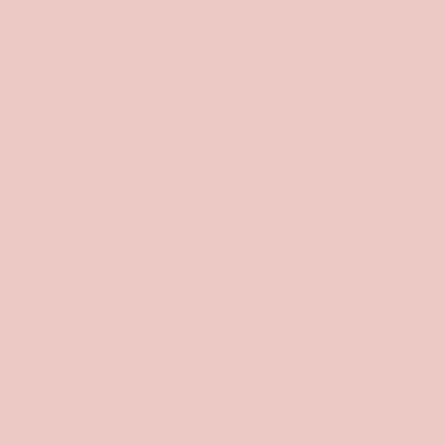 AGF Cotton Candy Pure Solids - Art Gallery Fabrics - PE487